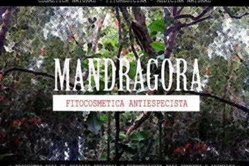Fitocosmética antiespecista, Mandrágora